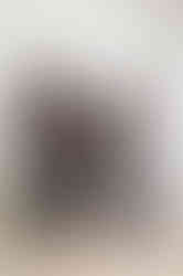 Six month old baby smiling during a milestone session at a Roseville photography studio with simple, clean backdrops.