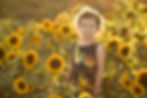 Woodland Sunflowers, Davis Sunflowers, 3 Year Session, Photo Session, Sacramento Photographer, Roseville Photographer, Lincoln Photographer, Best Portrait Photographer, Custom Photographer, Fine Art Photographer, Kristina Martin Photography, KMP, Family Photography, Northern California Photographer
