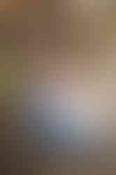 Sacramento family photographer capturing a spring family session with parents and two young boys on a wooden bridge during golden hour in Roseville California.