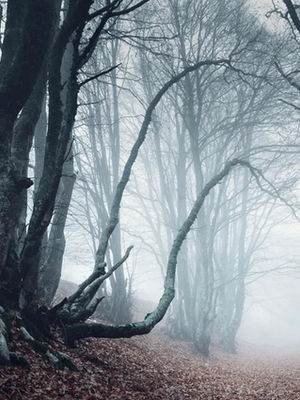 Where We're Traveling: World's Scariest Travel Destinations