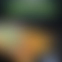 October Taco of the Month: Monster Mash