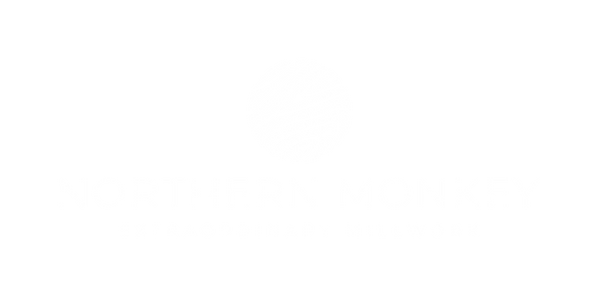 Transparent Logo.png