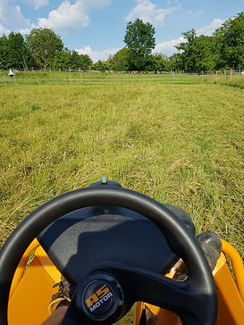 IMG-20201229-WA0008.jpg