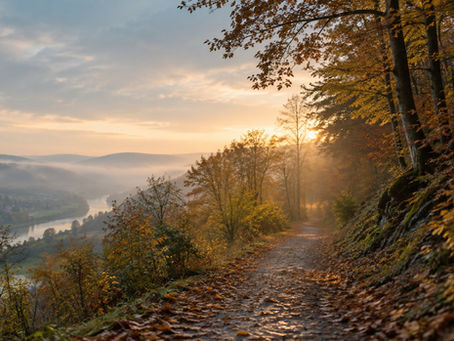 Herbstlicher Wald im diffusen Gegenlicht mit einem einsamen Weg als Sinnbild für Herbstblues und saisonale Depression