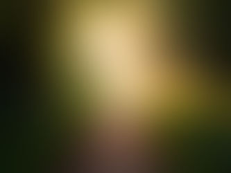 Ein ruhiger Waldweg führt aus dem Schatten ins Licht – symbolisches Bild für den Umgang mit Angst und den Weg in die psychotherapeutische Unterstützung.