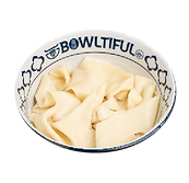 noodle type-10.png