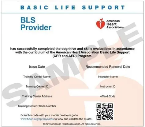 BLS Provider card from Basic Life Support curriculum, American Heart Association program.