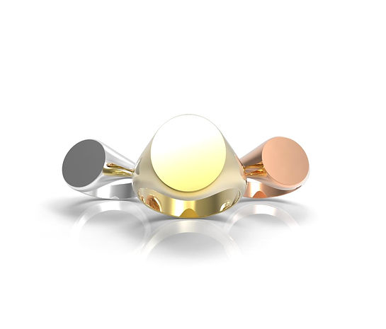 RENDER CHEVALIER FOR SITO_edited.jpg