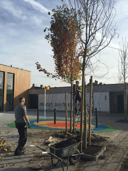 kokmeueleman_Beatrixschool_Bodgraven_foto_bovenbouwplein.gif