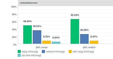 stestrá Q49i picture49i leikskólakennari