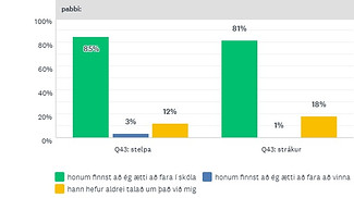 stestrá_Q11b_Picture11b.pabbi.jpg