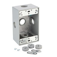 1-Gang Metal Weatherproof Box with (5) 1/2 in. Holes and Side Lugs