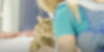 NOMV3.jpg