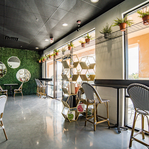 Sun Shining through Zen Coffee Bar