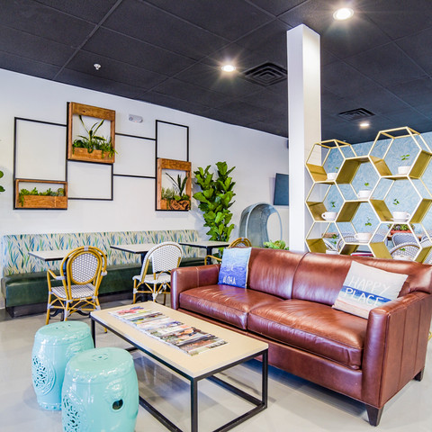 Zen couch and coffee plants