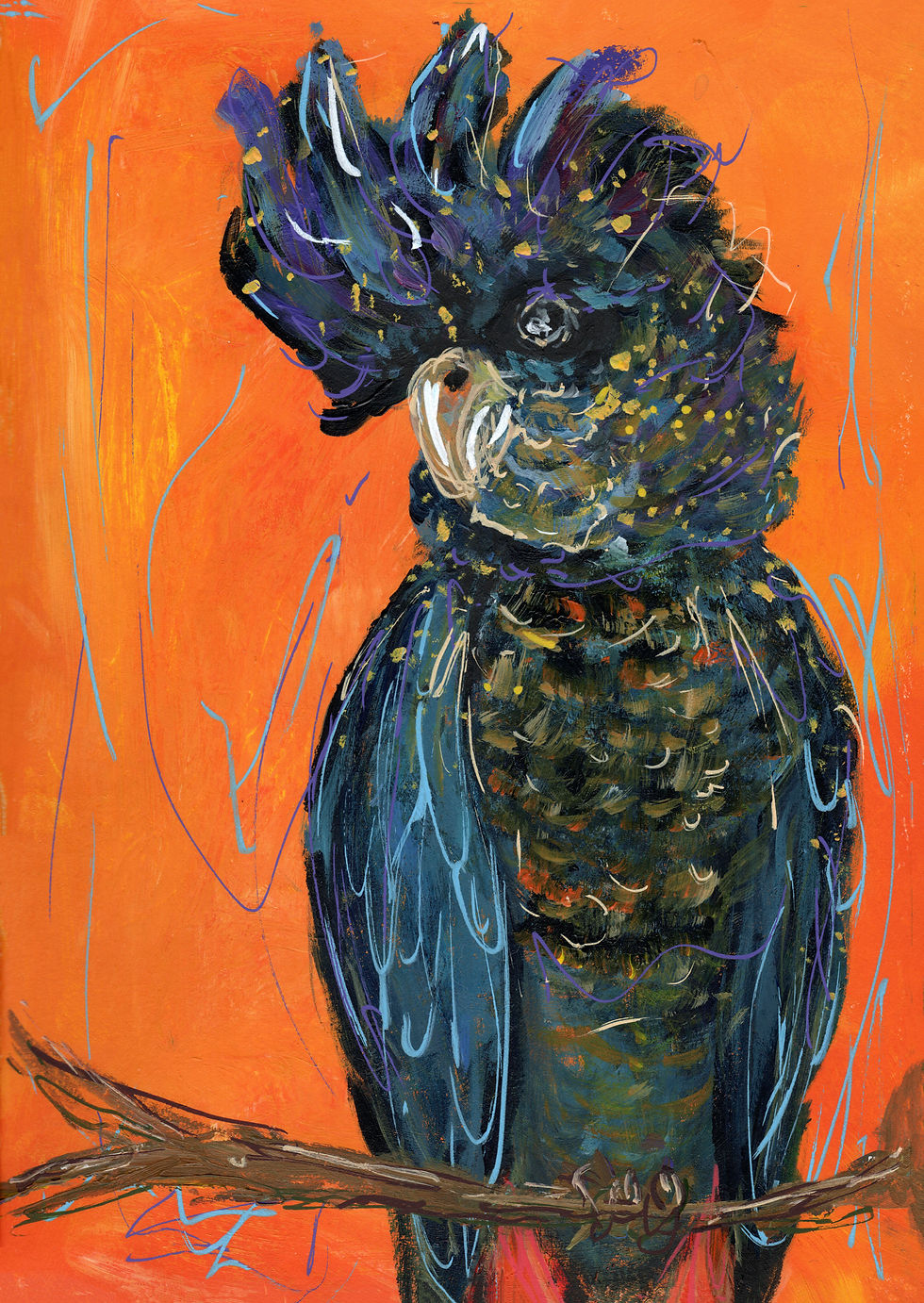 Fine Art Print: Cedric The Red Tailed Black Cockatoo