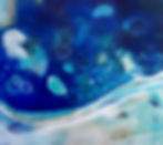 AZURE - $2,600