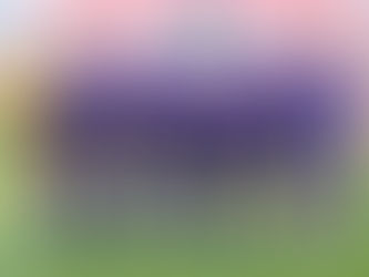 Trnava failed against Austria and the Czech Maltese derby ended in a draw