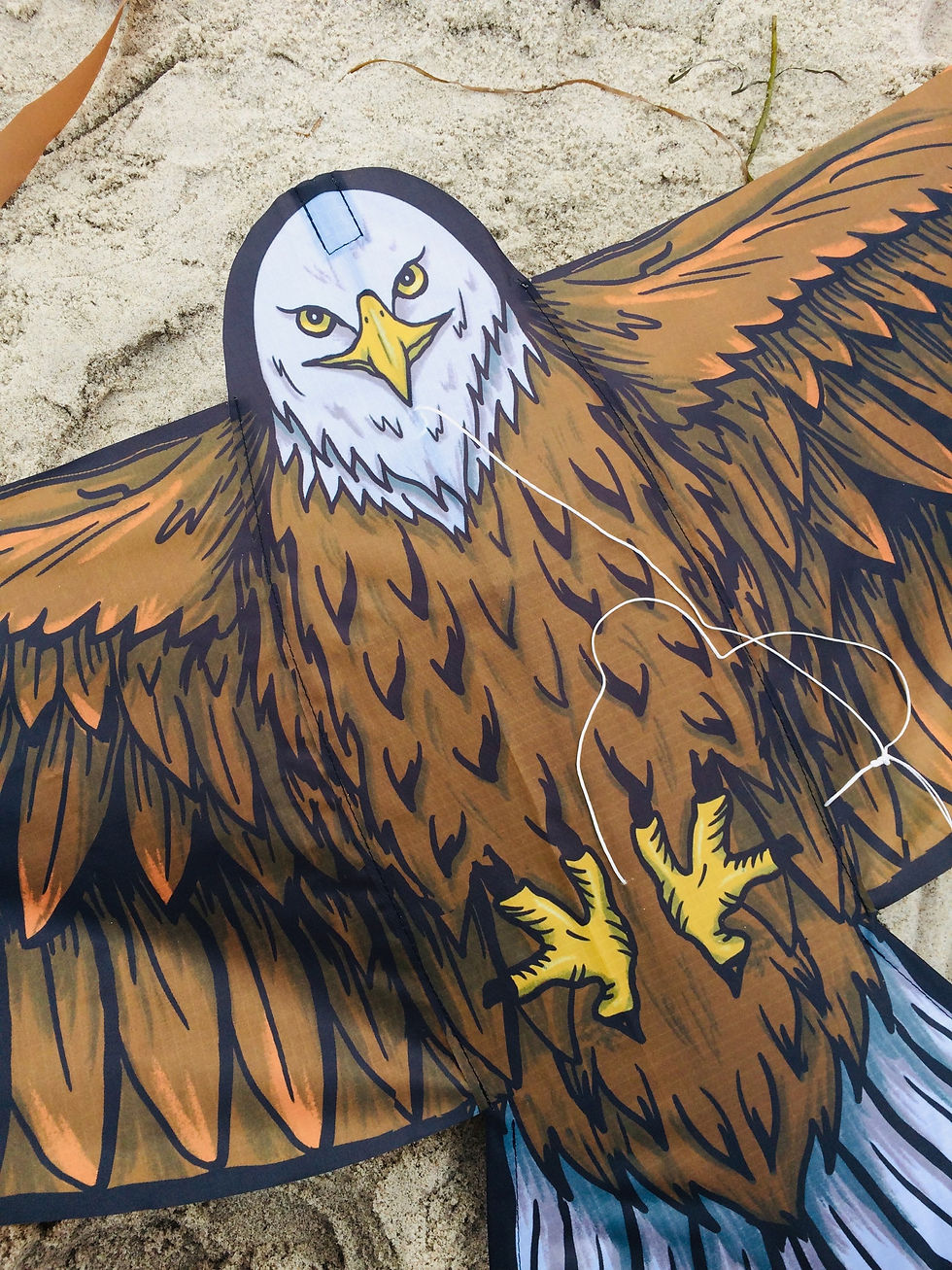 Miniaturbild: Einleiner Drache für Kinder Weißkopfseeadler