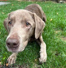 37386195_10216683895951391_8480361403524