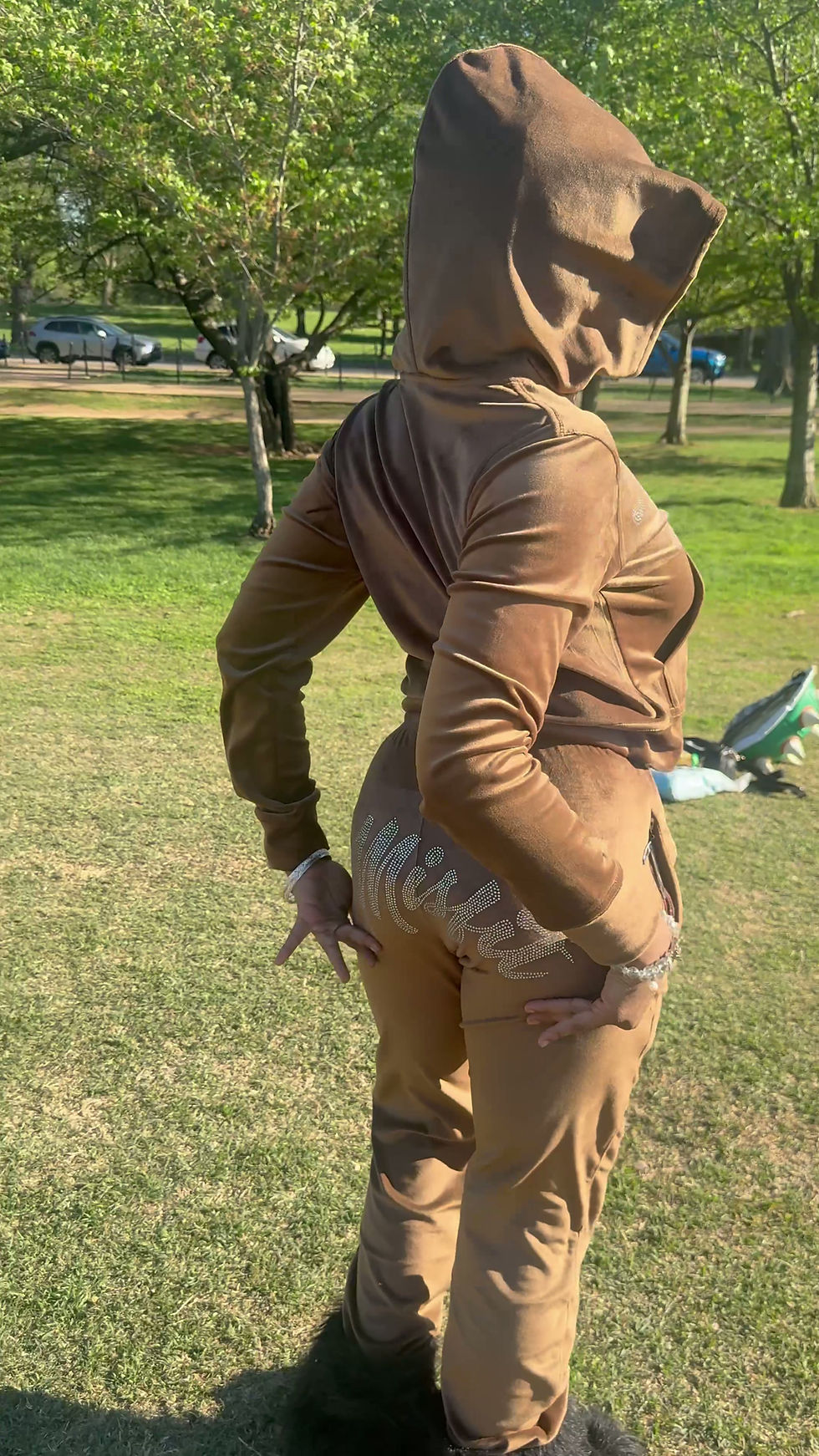 Thumbnail: Brown Velour Suit