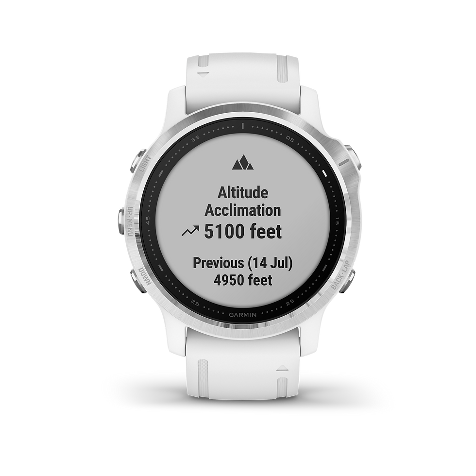 Miniature : fēnix 6S Silver avec bracelet blanc