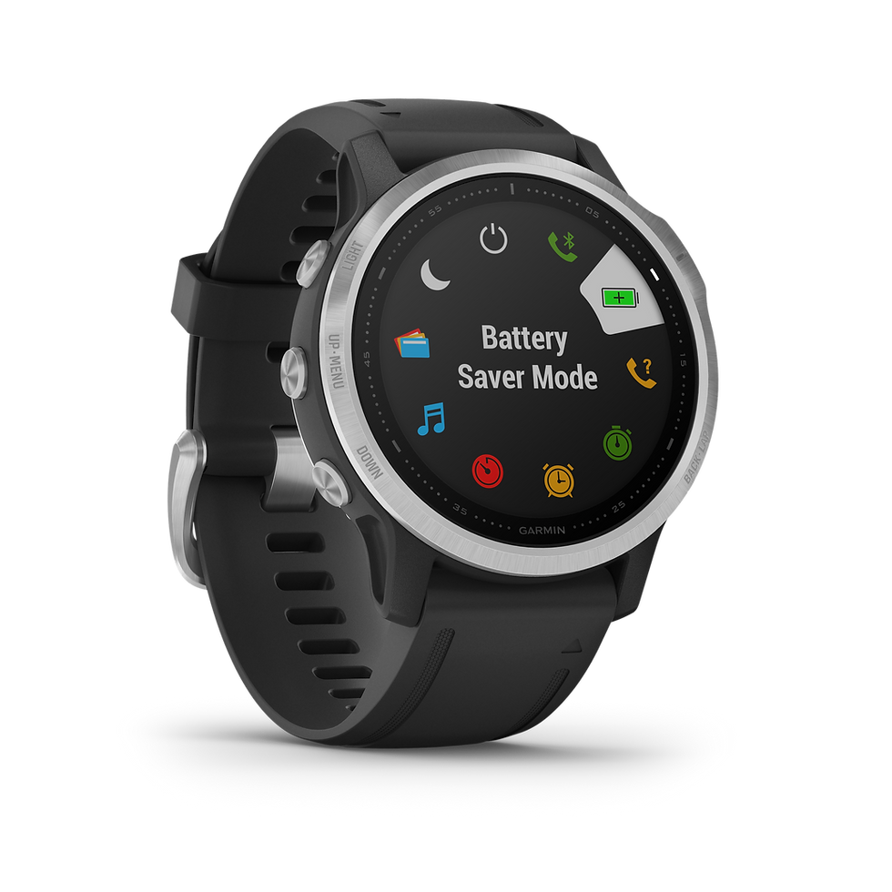 Miniature : fēnix 6S fēnix® 6S, silver avec bracelet noir