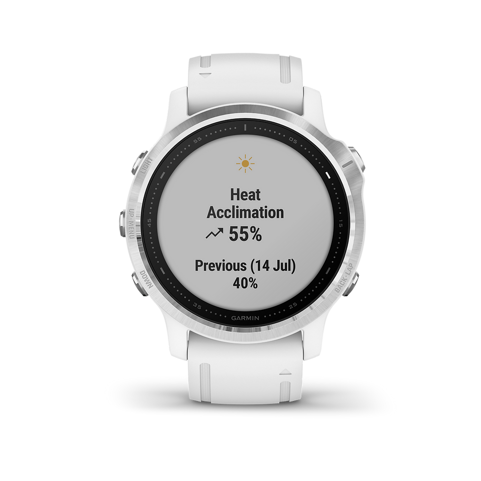 Miniature : fēnix 6S Silver avec bracelet blanc