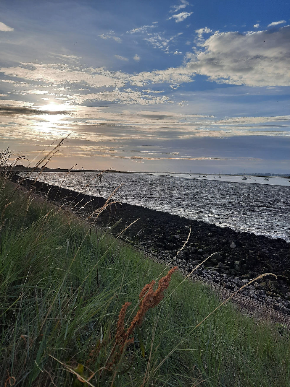 A Social Media Free Summer