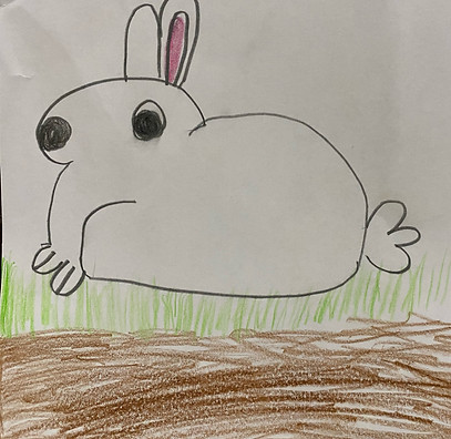 image6.jpeg