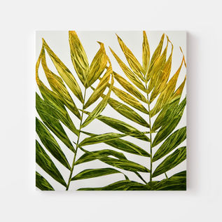 Painting by Wellington Artist Rebecca Mooney