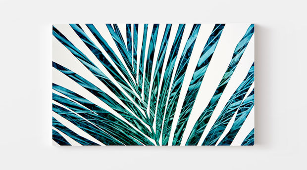 Painting by Wellington Artist Rebecca Mooney