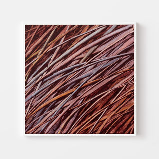 Painting by Wellington Artist Rebecca Mooney