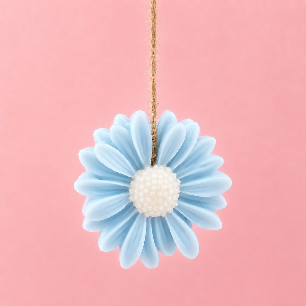 Miniature : Coralise  