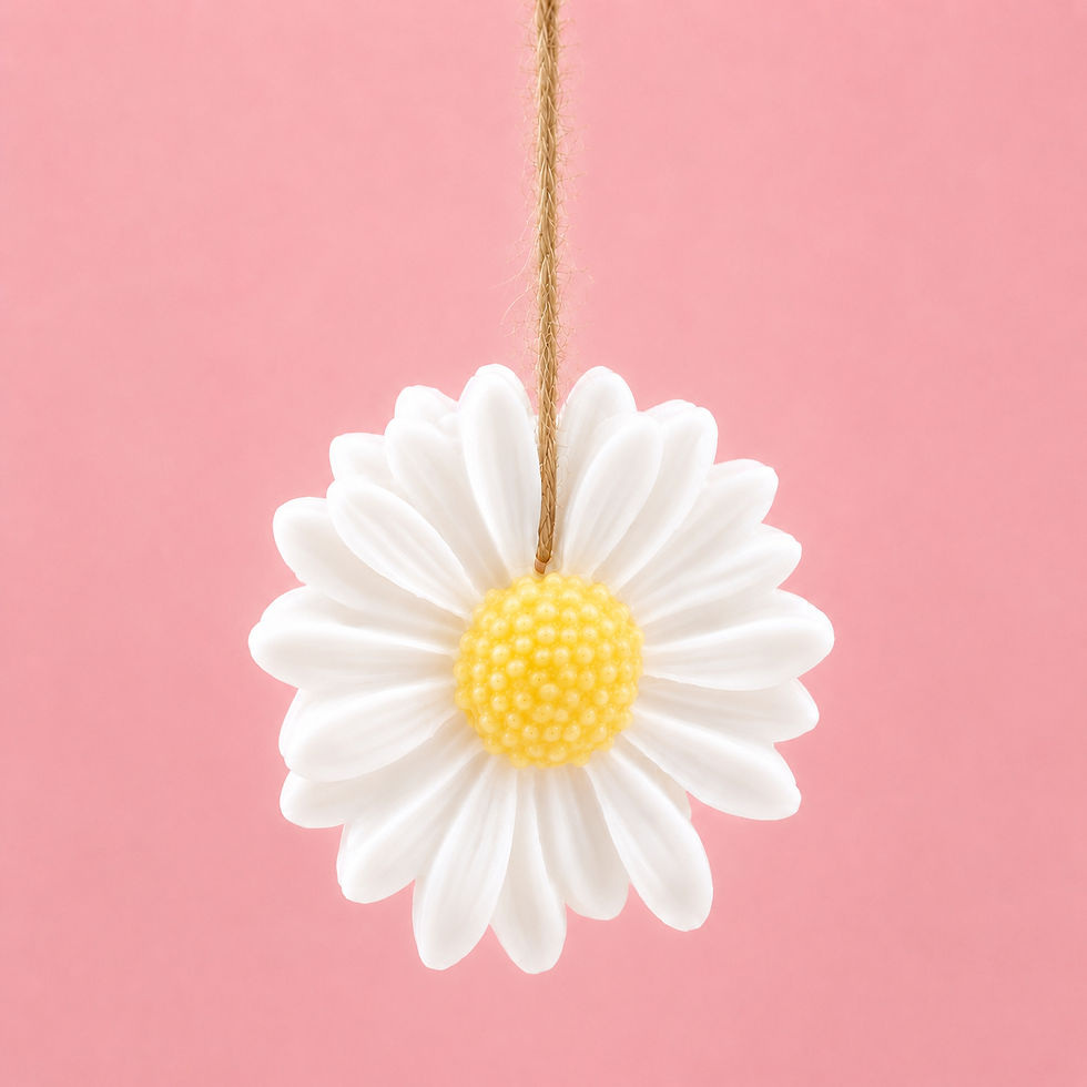 Miniature : Coralise  