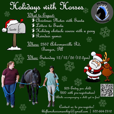 Holidays with Horses Ad.JPG