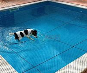 Telas de Proteção BH