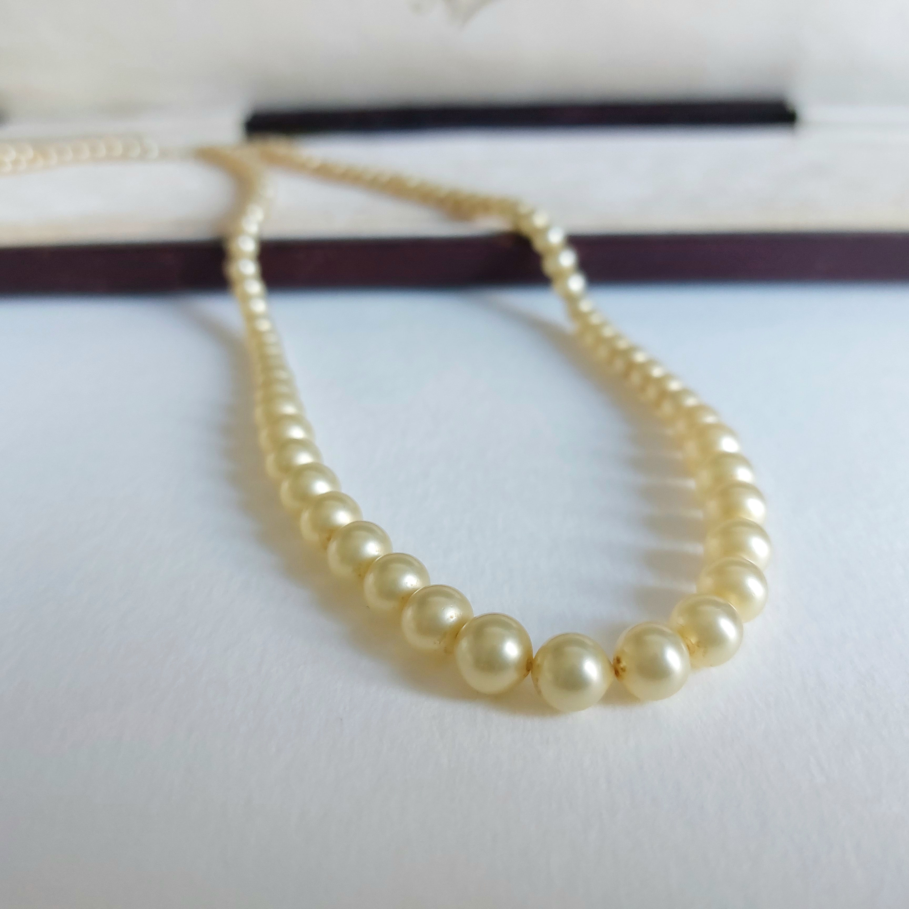 Vintage Sylveke Pearl necklace in original box. Faux pearls 1920s. Pale Lemon yellow cream, single strand pearl beads.