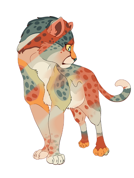 cheetaah.png