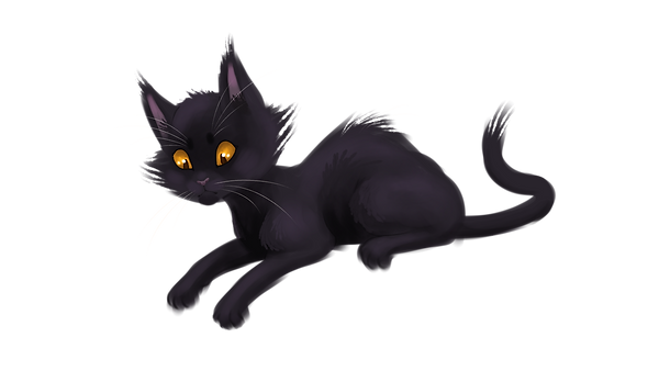 cat3.png