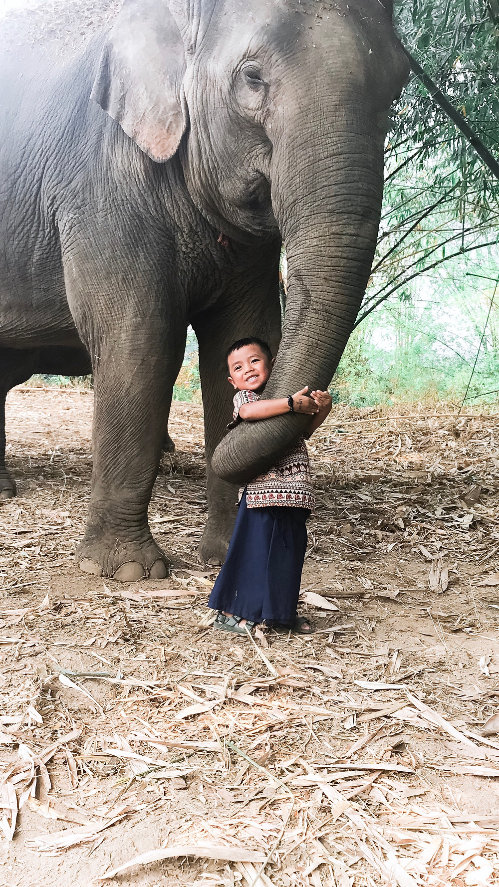 a sample 5 day itinerary if you're traveling to Chiang Mai, Thailand with small kids: temples, mountains, elephants and more! // sunnyinjune.com