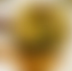 Cabbage Sautéed in Kimchi Sauce