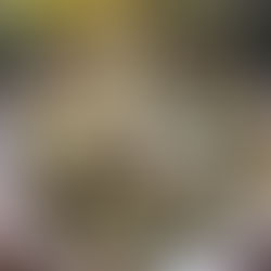 Broccoli & Chayote Slaw