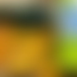 Orangesicle Smoothie