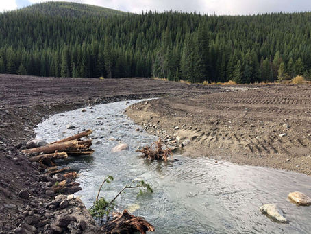 Cleaning up old mining sites
