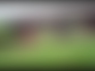 SB141 - A practical step towards safer roads and healthier wildlife