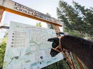 Threats to Wilderness - Cumulative Impacts