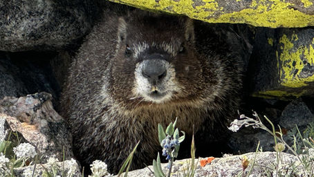 TWO ESWA EVENTS THIS MONTH! RSVP TODAY!