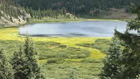 Wilderness makes "cents"