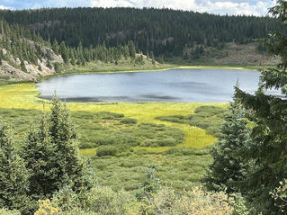 Wilderness makes "cents"